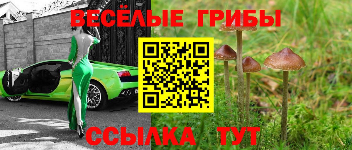 МДМА  Вход с VPN  Каннабис  КОКАИН  МЕФ кристаллы  Новодвинск  Гашиш 