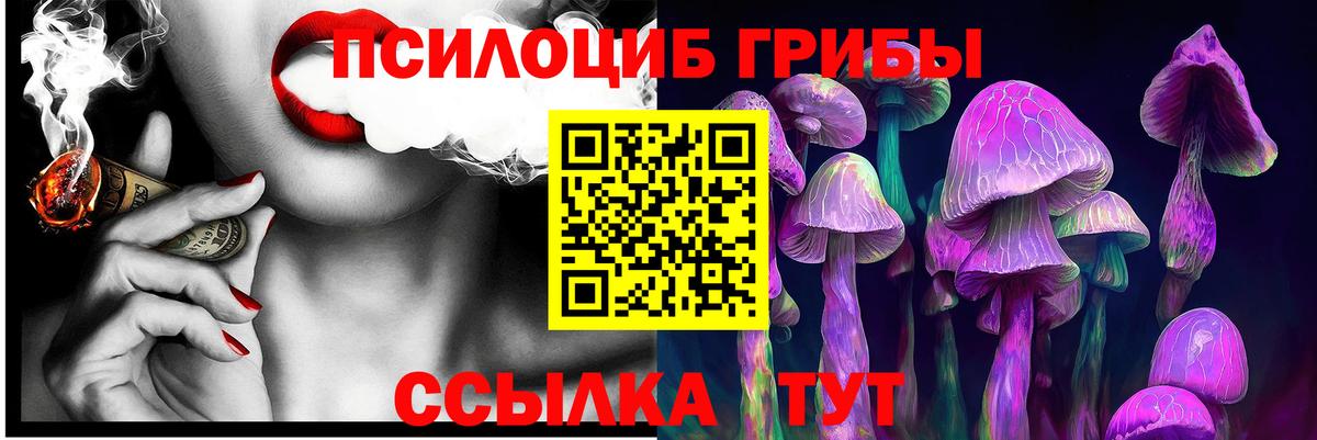 Галлюциногенные грибы MAGIC MUSHROOMS Новодвинск