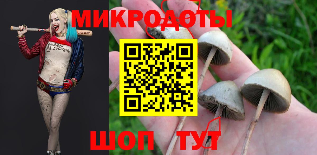 Галлюциногенные грибы Psilocybine cubensis  Вход с VPN  Галлюциногенные грибы MAGIC MUSHROOMS  Новодвинск 